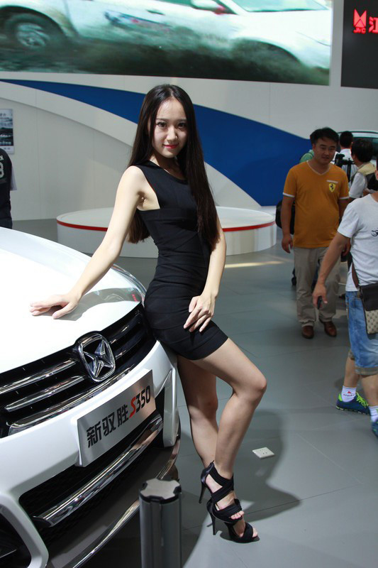 2014西安国际车展美女云集(图6)